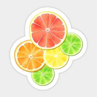 Citrus Delight Sticker